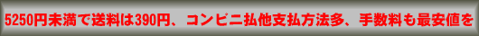 5250円未満でも送料は390円、コンビに払他支払方法多、手数料も最安値を